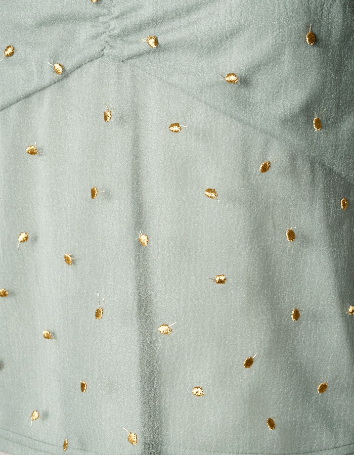 Dot Embroidery Sheer Tops / light gray