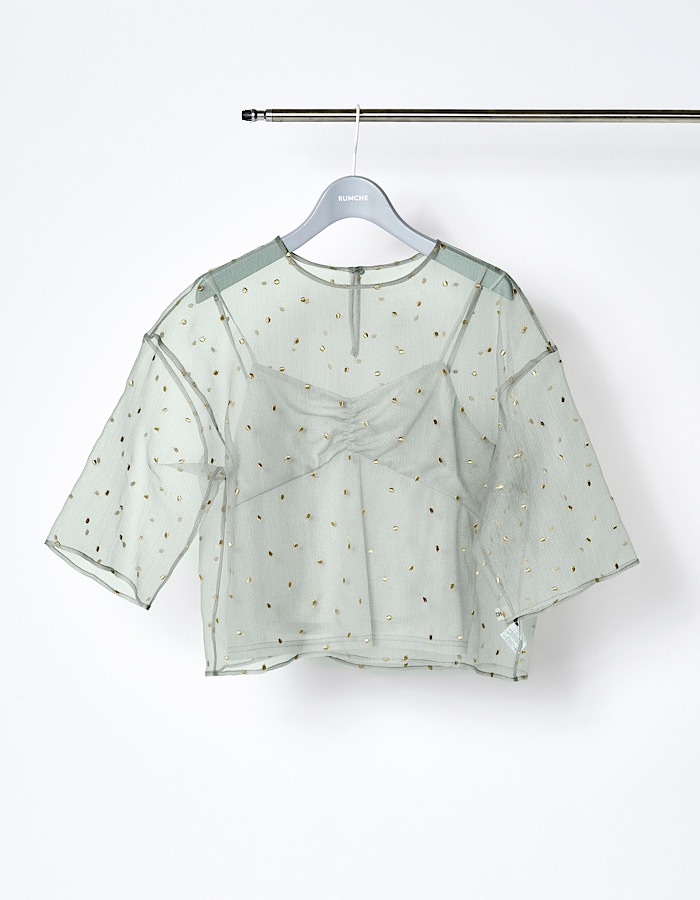 Dot Embroidery Sheer Tops / light gray