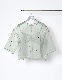 Dot Embroidery Sheer Tops / light gray