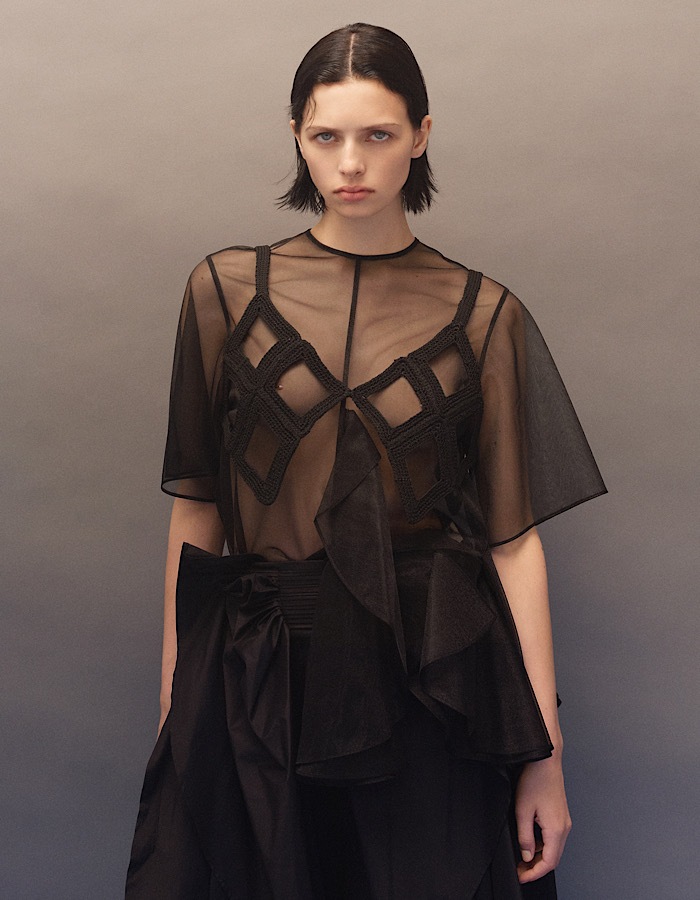 Moon Ruffle Sheer Tops / black