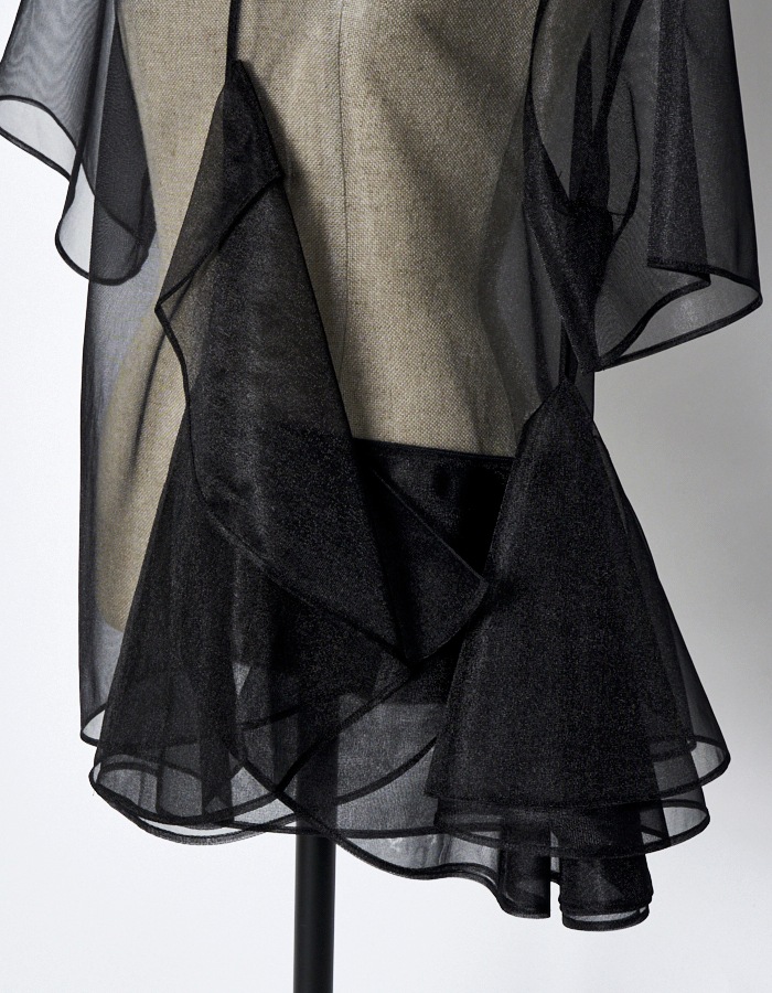 Moon Ruffle Sheer Tops / black