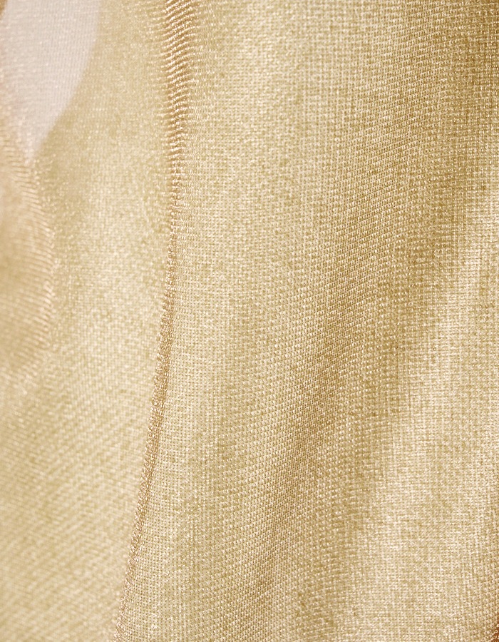 Moon Ruffle Sheer Tops / beige