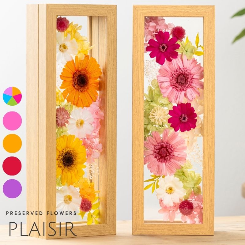 プリザーブドフラワー 『plaisir プレズィール』