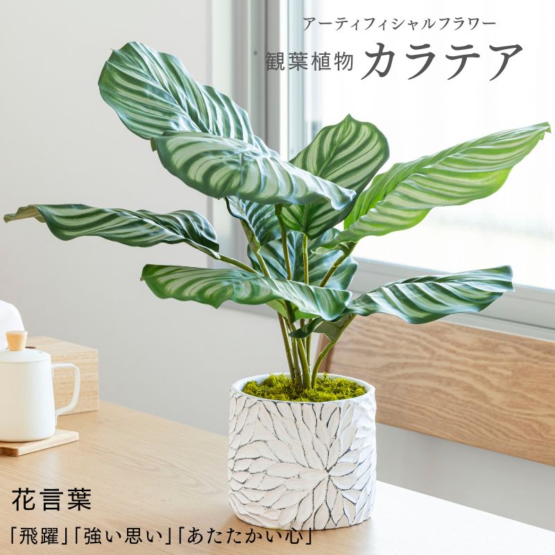 造花 観葉植物  『Calathea カラテア』