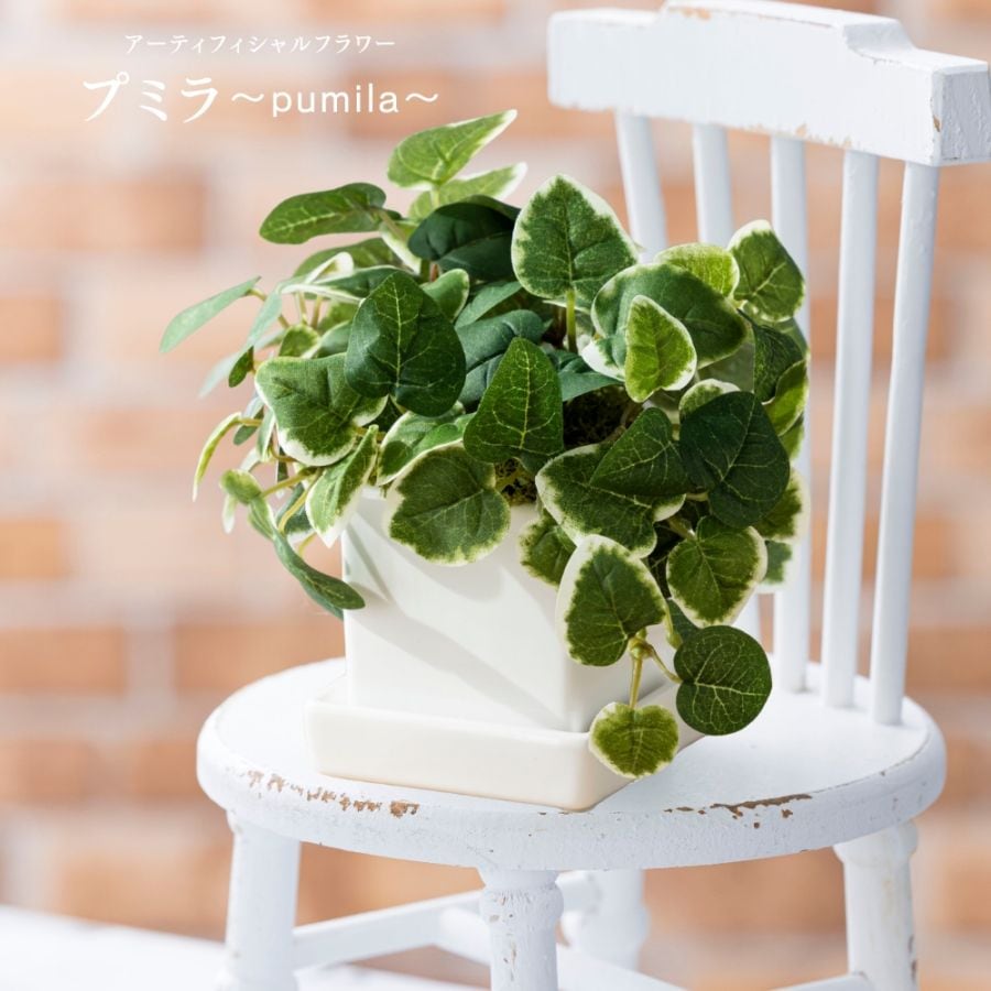 『造花 pumila プミラ』