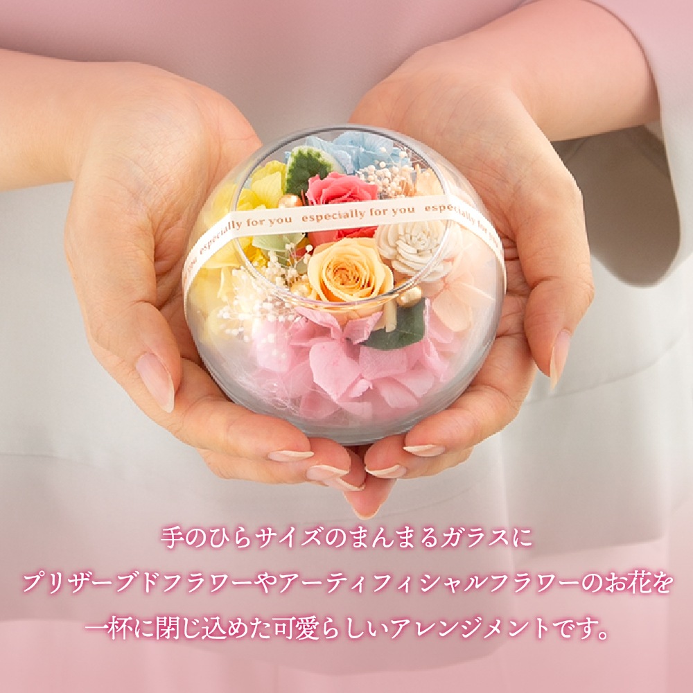 プリザーブドフラワー 『プチヴェールローズ』