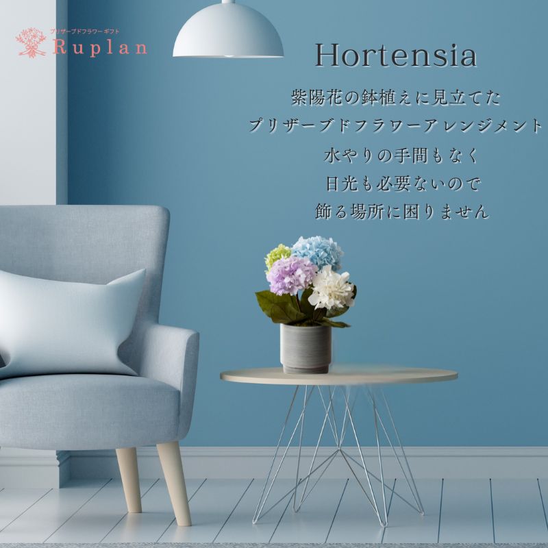 プリザーブドフラワー 『hortensia オルタンシア』