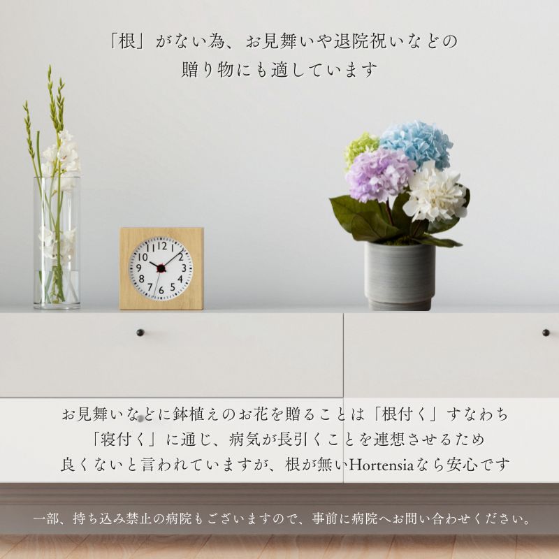 プリザーブドフラワー 『hortensia オルタンシア』