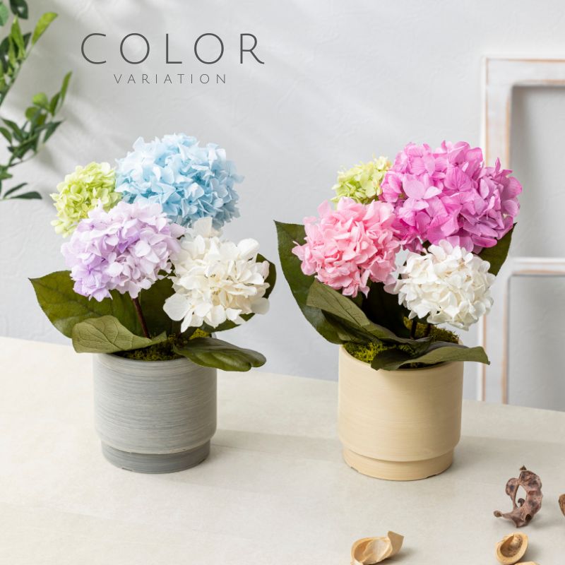 プリザーブドフラワー 『hortensia オルタンシア』