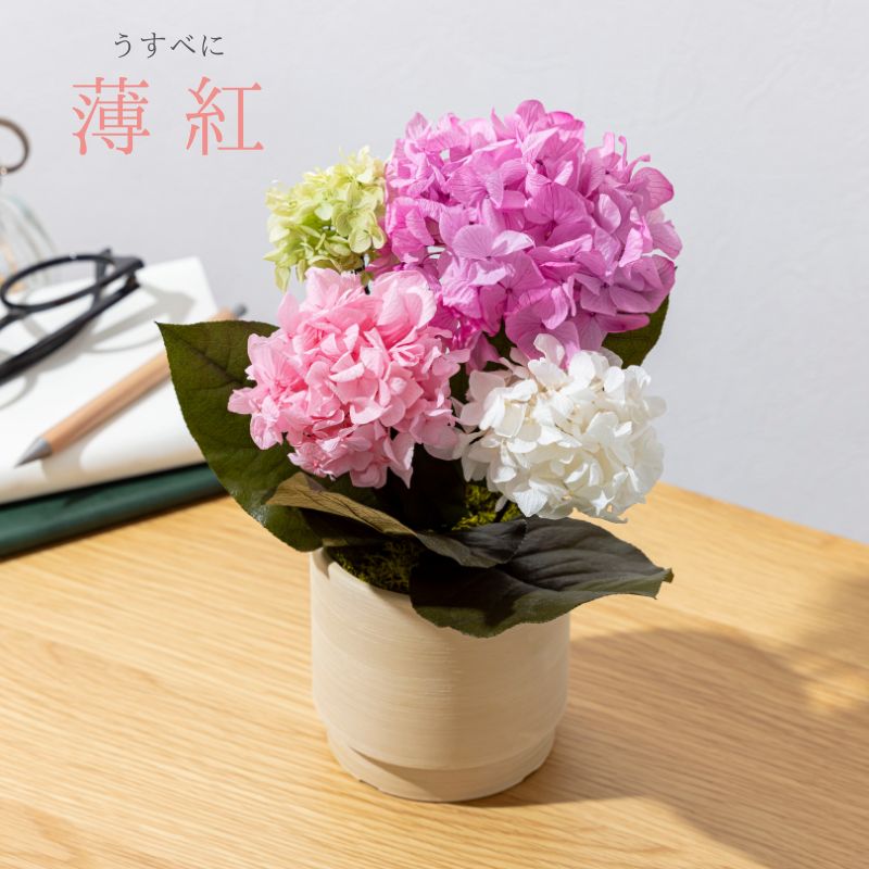 プリザーブドフラワー 『hortensia オルタンシア』