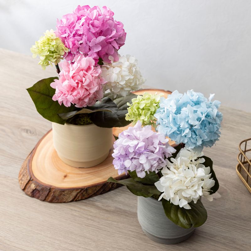 プリザーブドフラワー 『hortensia オルタンシア』