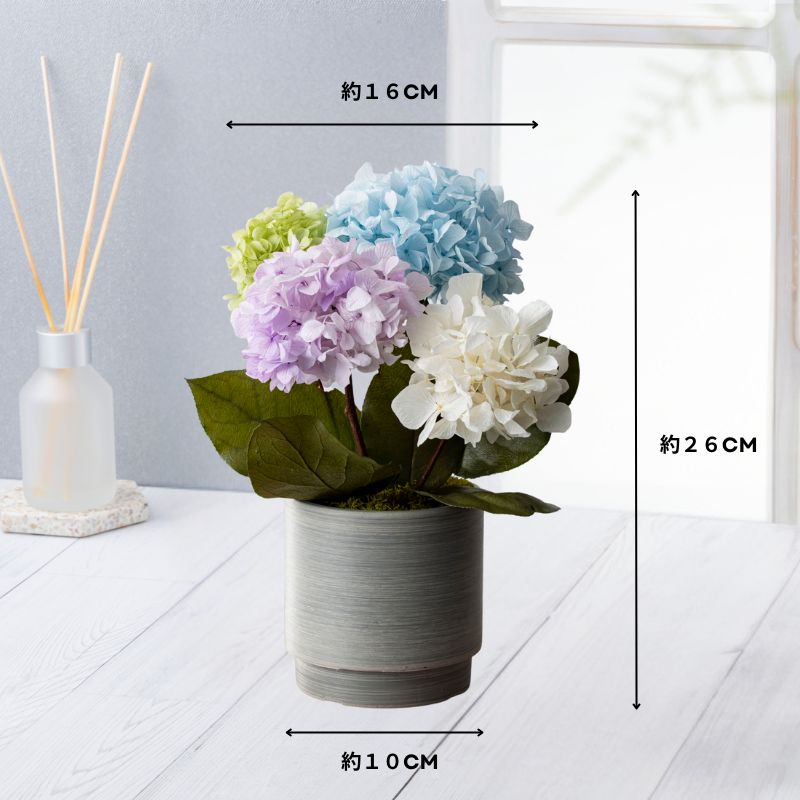 プリザーブドフラワー 『hortensia オルタンシア』