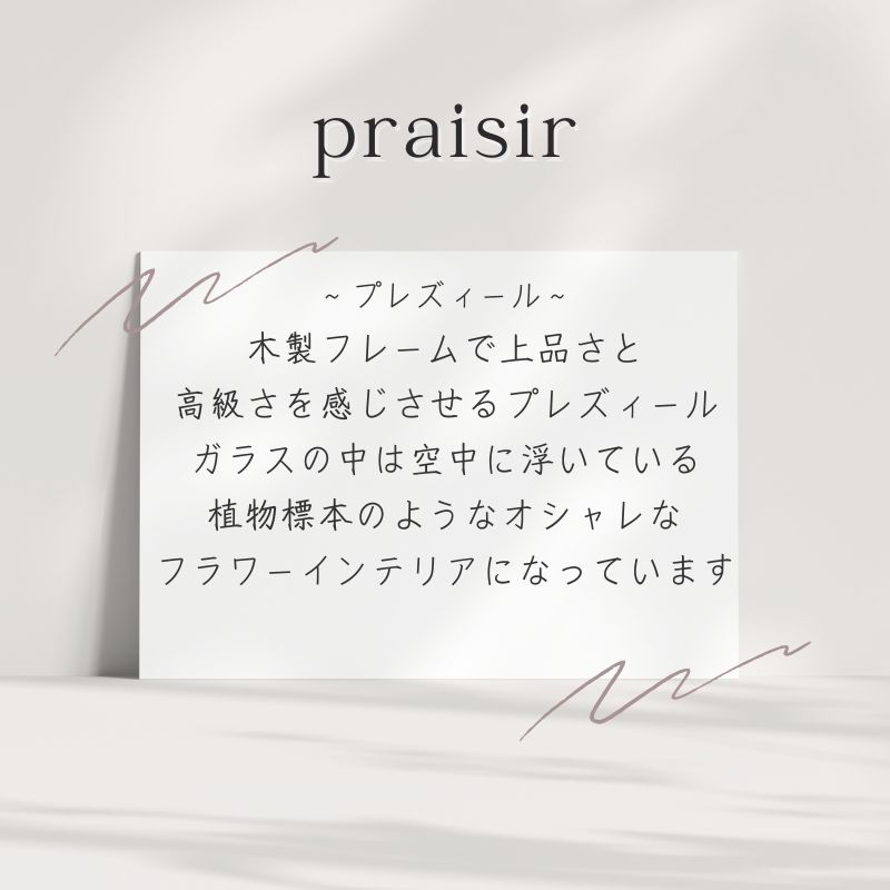 プリザーブドフラワー 『plaisir プレズィール』