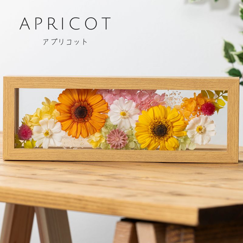 プリザーブドフラワー 『plaisir プレズィール』