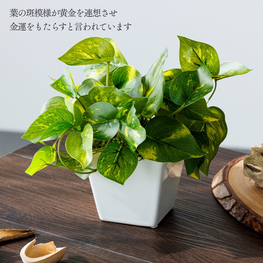 『造花 Pothos ポトス』