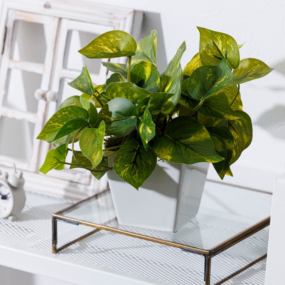 『造花 Pothos ポトス』