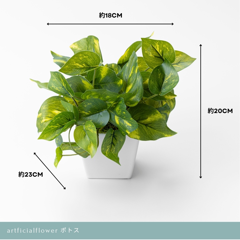 『造花 Pothos ポトス』