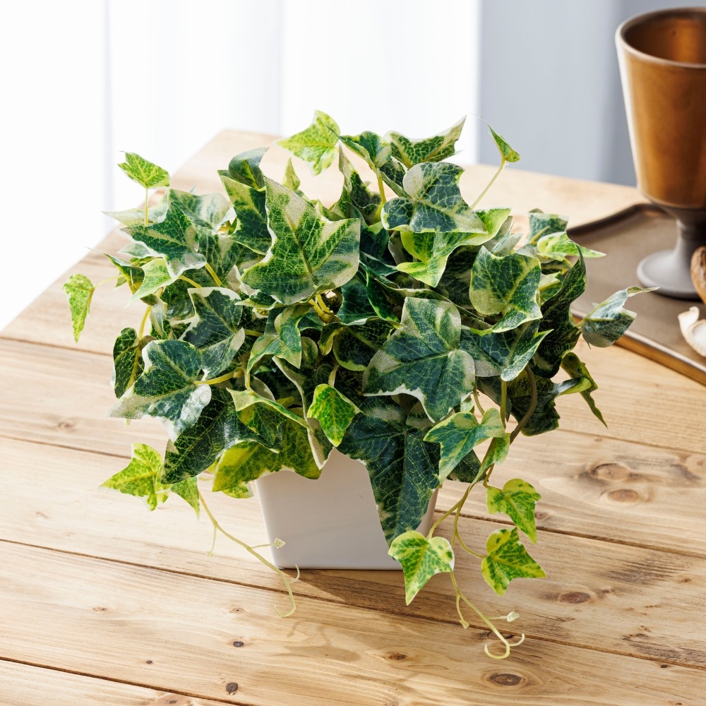 『造花 Ivy アイビー』