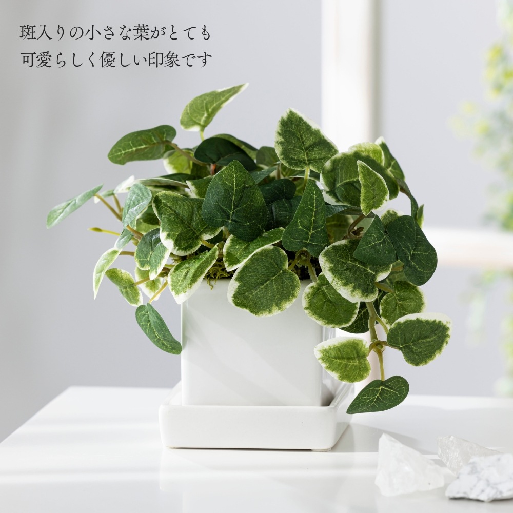 『造花 pumila プミラ』