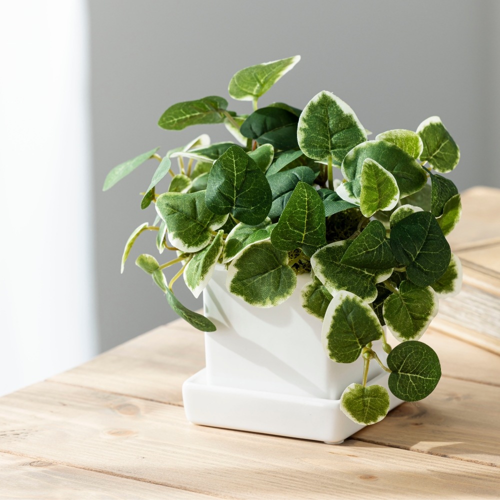 『造花 pumila プミラ』