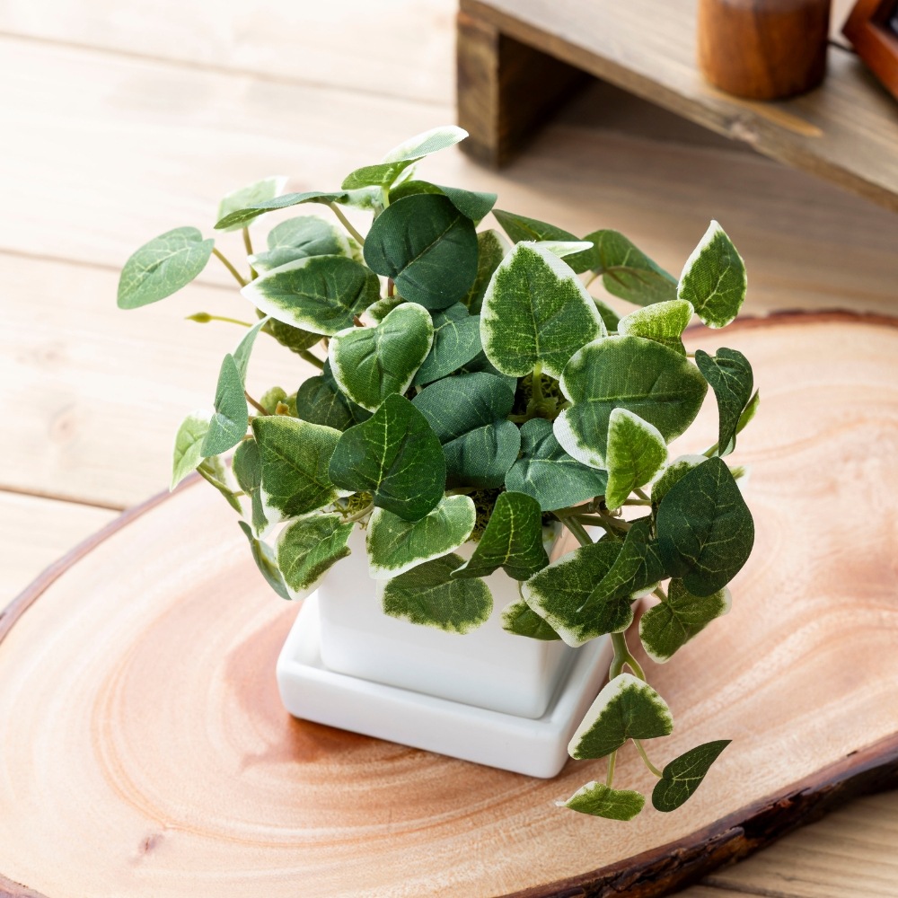 『造花 pumila プミラ』