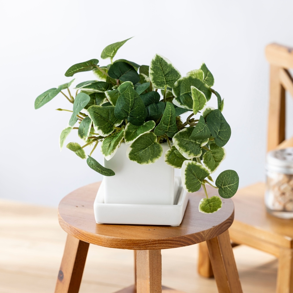 『造花 pumila プミラ』