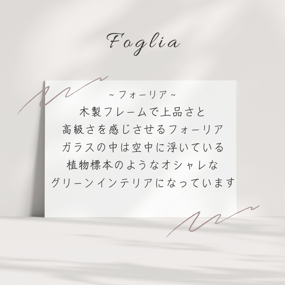 プリザーブドフラワー 『foglia フォーリア』