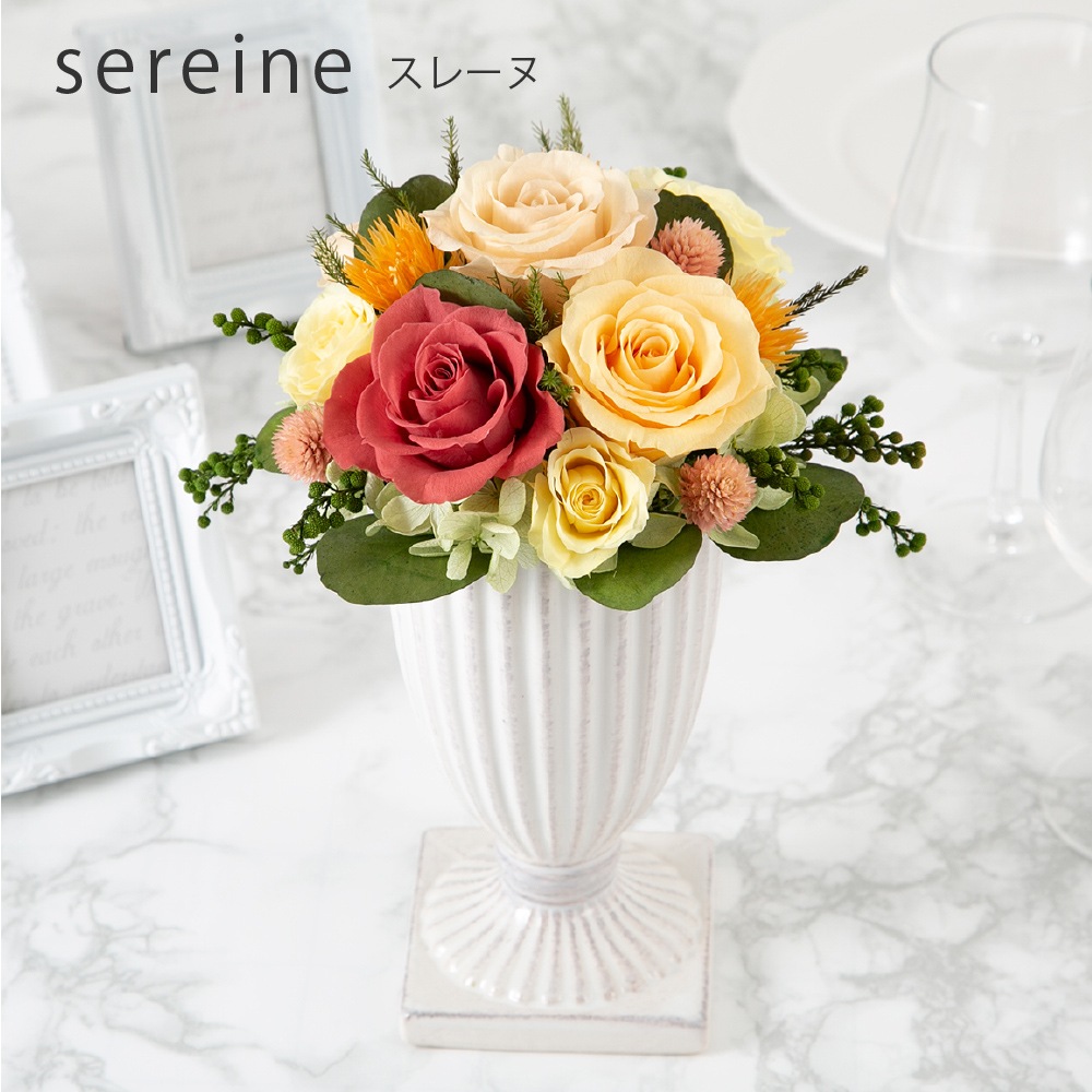 プリザーブドフラワー 『sereine スレーヌ』 | プリザーブドフラワー