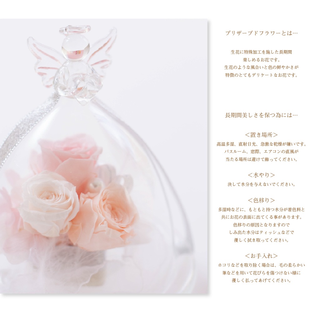 プリザーブドフラワー 『mimi ange ミミ・アンジュ』