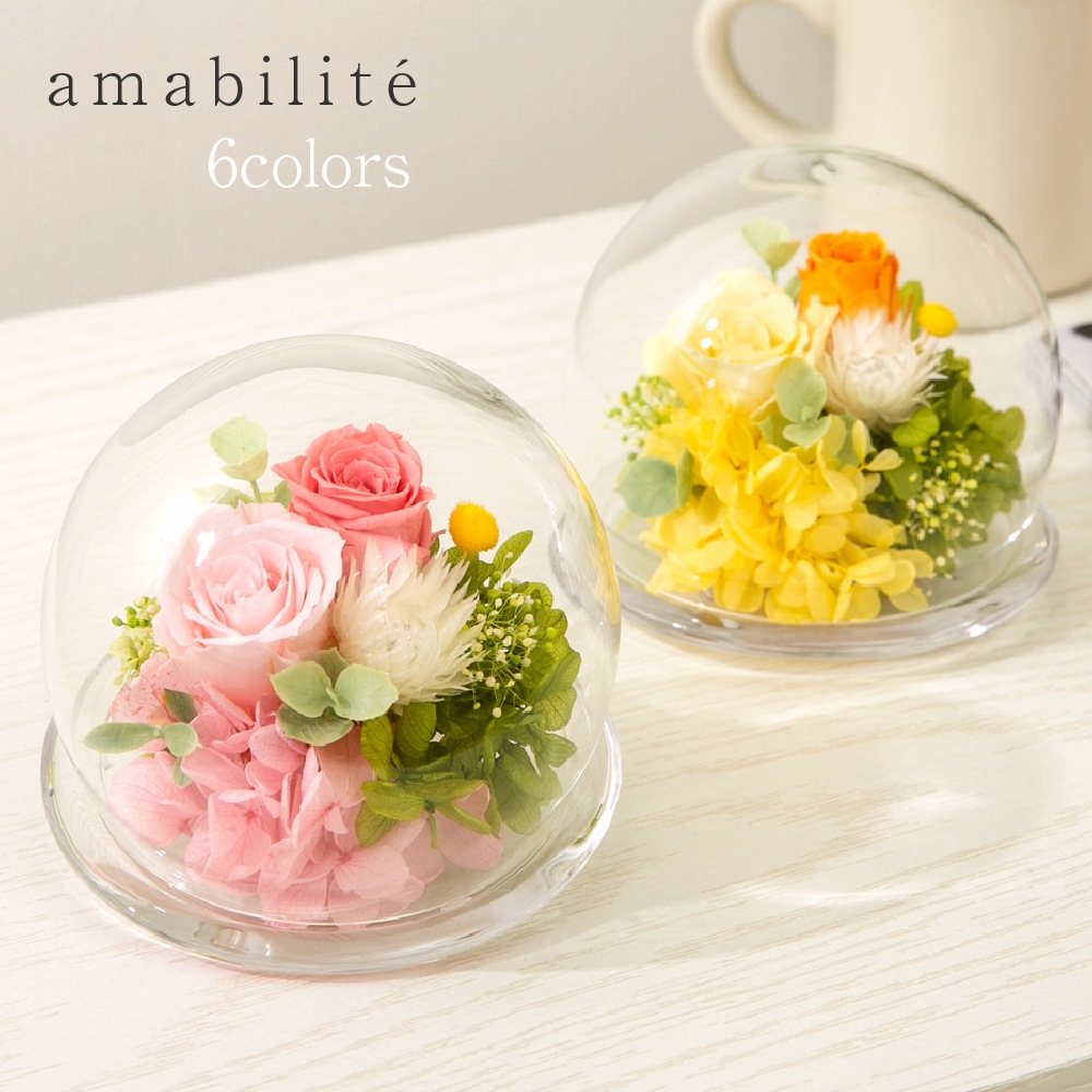 プリザーブドフラワー 『amabilite アマビリテ』