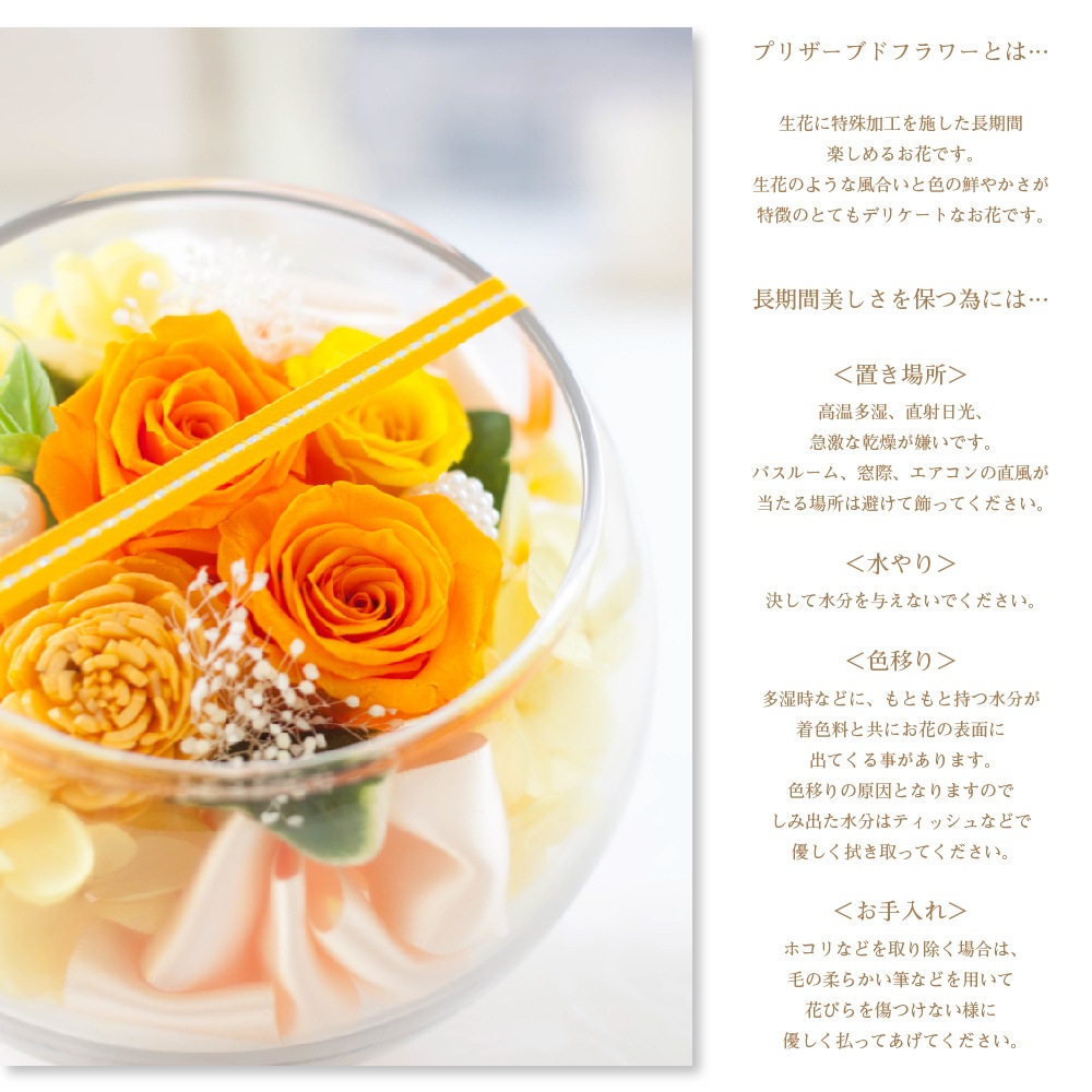 プリザーブドフラワー 『verrette rose ヴェレットローズ』