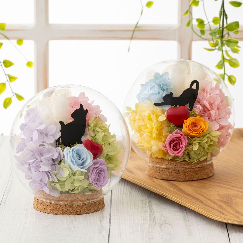 プリザーブドフラワー 『chat lulu シャルル』