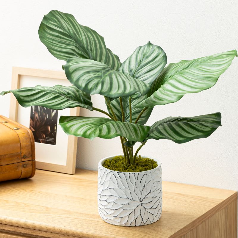 造花 観葉植物  『Calathea カラテア』