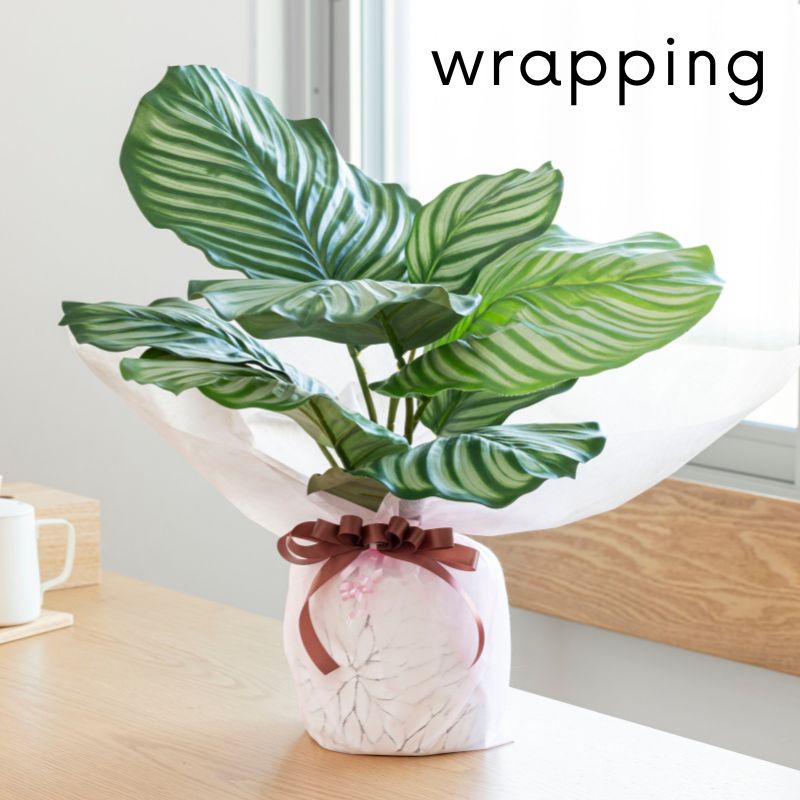 造花 観葉植物  『Calathea カラテア』