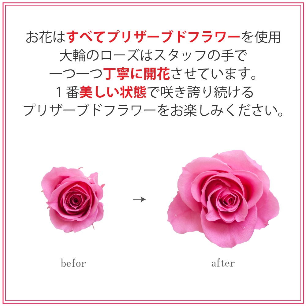 プリザーブドフラワー 『couleur douce クルール ドゥース』