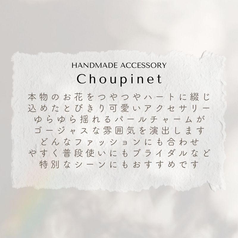 アクセサリー イヤリング ピアス 『choupinet シュピネ』