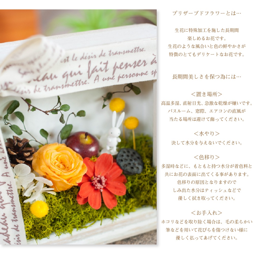 プリザーブドフラワー 『le petit jardin ル・プティ・ ジャルダン』