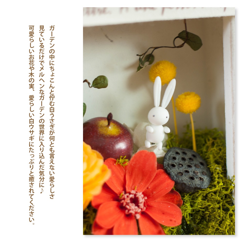 プリザーブドフラワー 『le petit jardin ル・プティ・ ジャルダン』