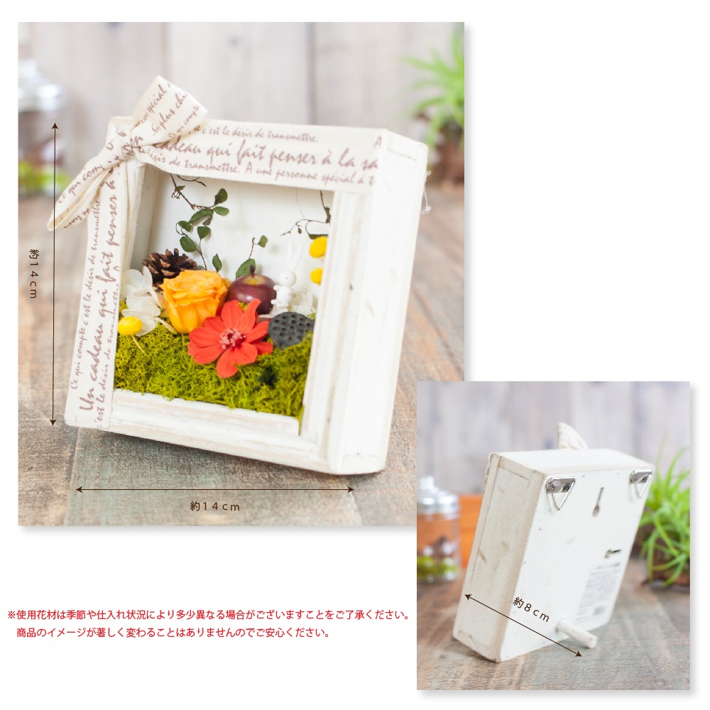 プリザーブドフラワー 『le petit jardin ル・プティ・ ジャルダン』