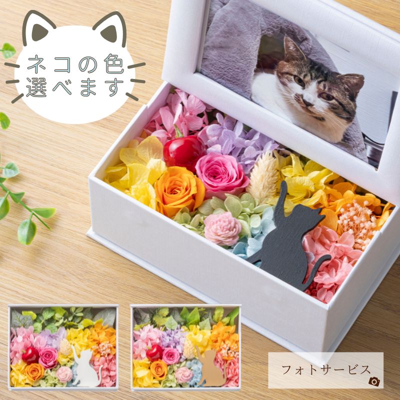 プリザーブドフラワー 『mignon ミニョン』