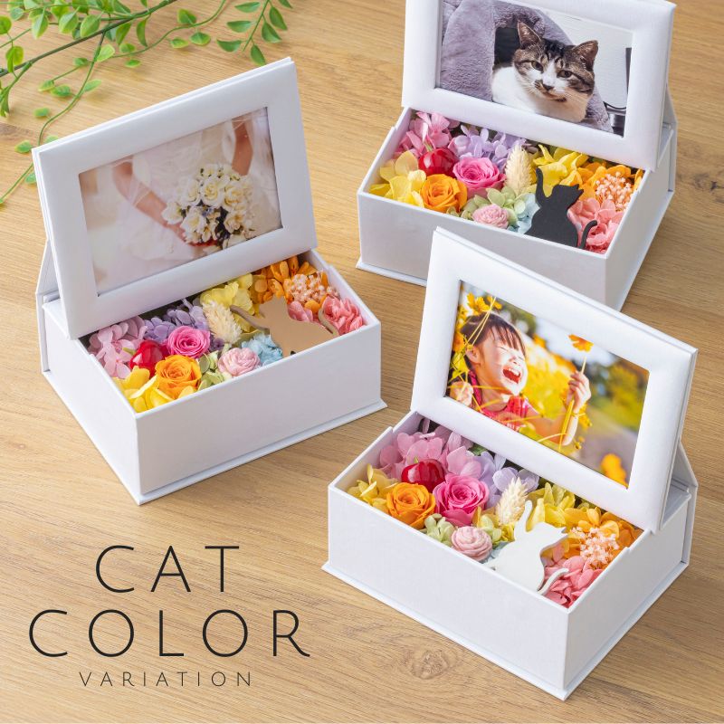 プリザーブドフラワー 『mignon ミニョン』