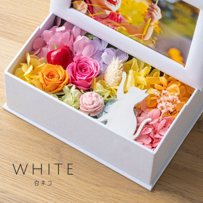 プリザーブドフラワー 『mignon ミニョン』