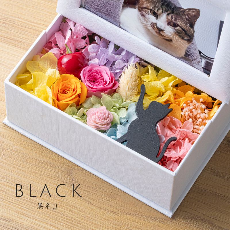 プリザーブドフラワー 『mignon ミニョン』