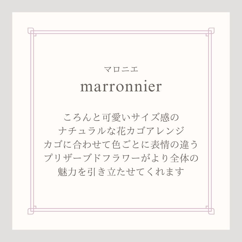 プリザーブドフラワー 『marronnier マロニエ』