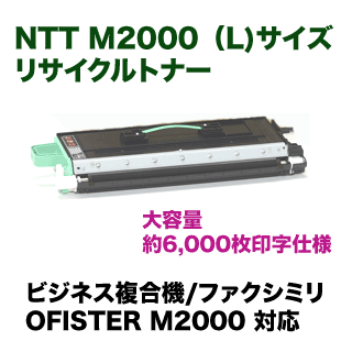 NTT OFISTER M2000 (L) ꥵȥʡ̥סˡʥӥͥʣ絡 ե M2000 б
