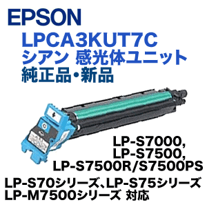 エプソン LPCA3KUT7C シアン 純正ドラム (感光体ユニットC) (LP-S7000