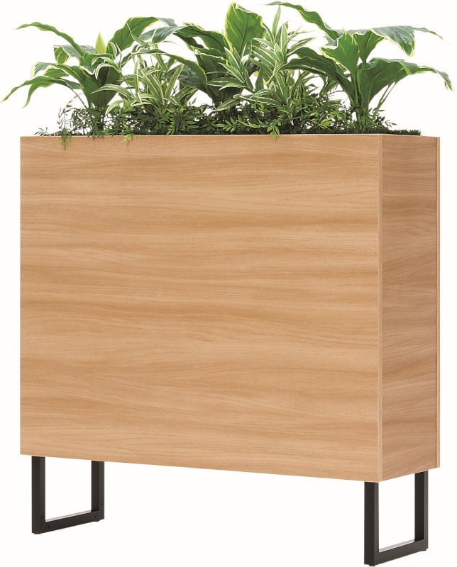 BOXプランター商品イメージ