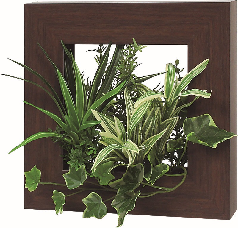 ウォールポット