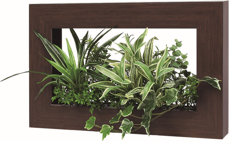 ウォールポット