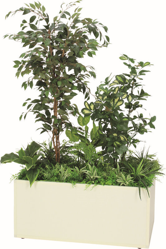 樹木プランター